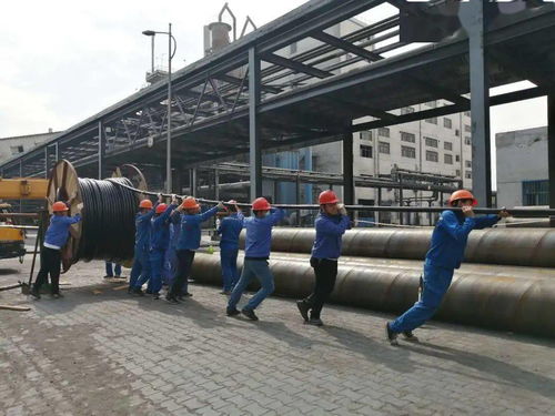 中鹽內(nèi)蒙古化工公司電石廠組織職工圓滿完成600噸 日石灰窯活性石灰項目電纜敷設任務